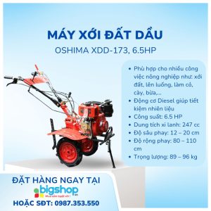 Ảnh Info