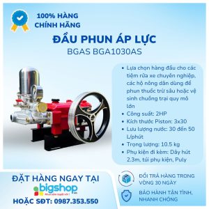 Ảnh Info