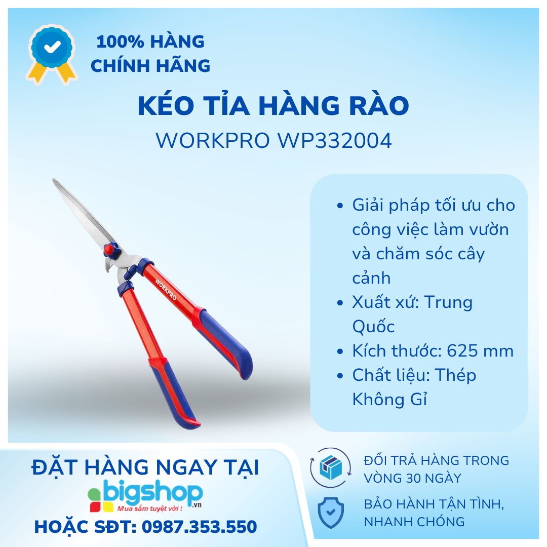 Ảnh Info