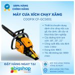 Ảnh Info