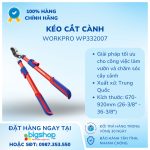 Ảnh Info