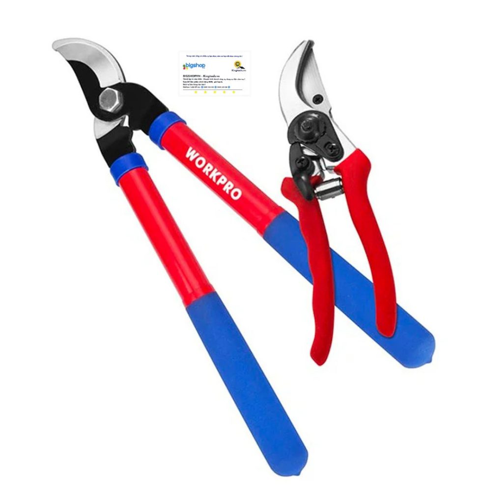 Hình ảnh sp Hình ảnh sp