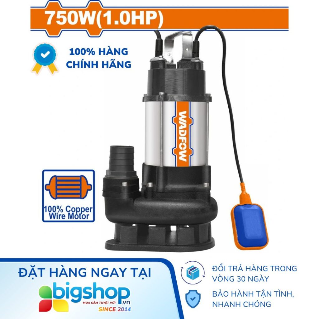 Ảnh Info